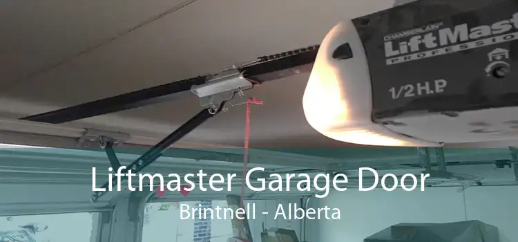 Liftmaster Garage Door Brintnell - Alberta