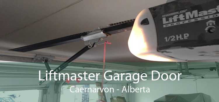 Liftmaster Garage Door Caernarvon - Alberta