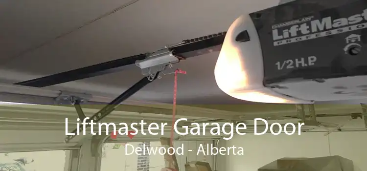 Liftmaster Garage Door Delwood - Alberta