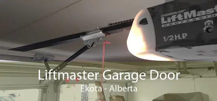 Liftmaster Garage Door Ekota - Alberta