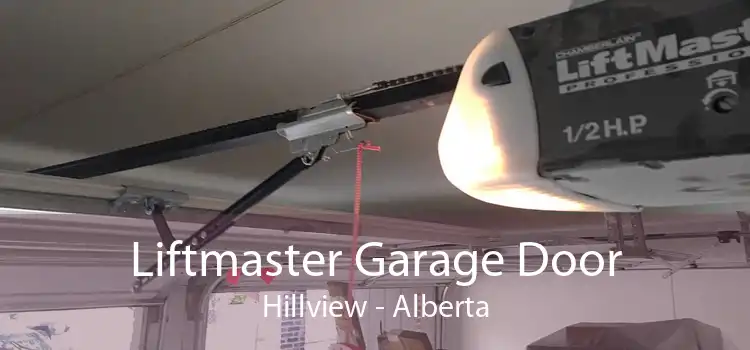 Liftmaster Garage Door Hillview - Alberta
