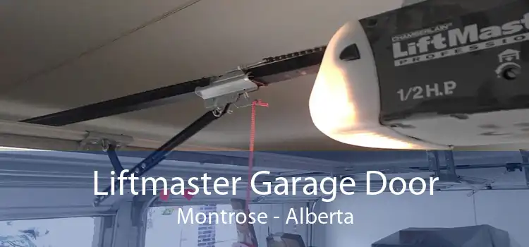 Liftmaster Garage Door Montrose - Alberta