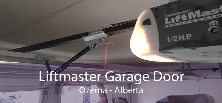 Liftmaster Garage Door Ozerna - Alberta