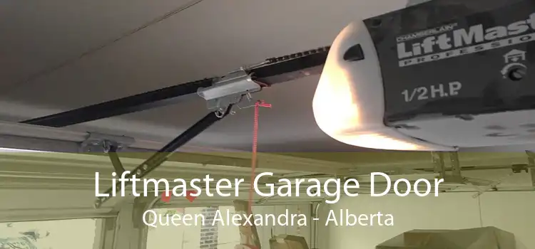 Liftmaster Garage Door Queen Alexandra - Alberta