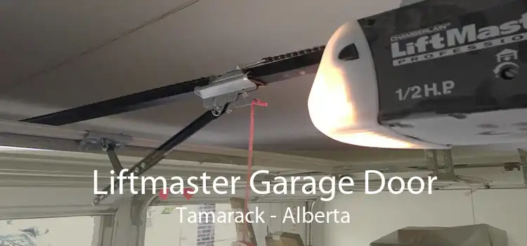 Liftmaster Garage Door Tamarack - Alberta