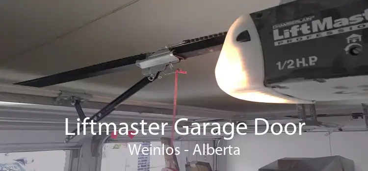 Liftmaster Garage Door Weinlos - Alberta