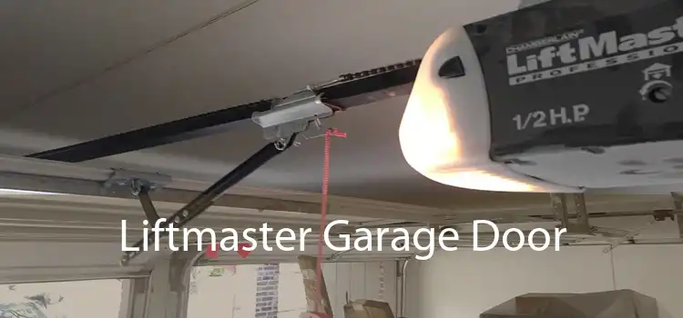 Liftmaster Garage Door