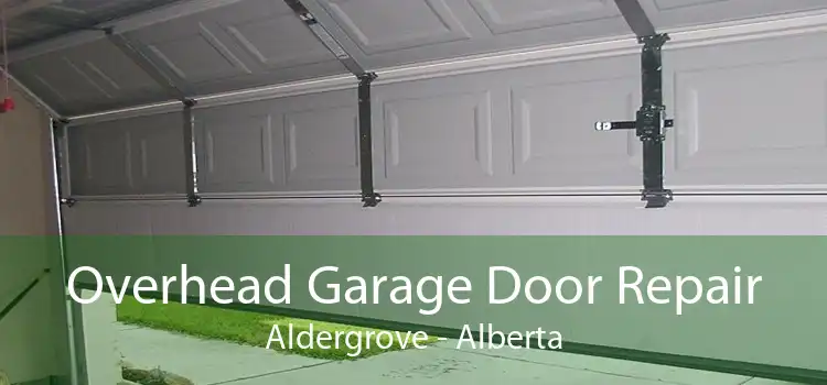 Overhead Garage Door Repair Aldergrove - Alberta