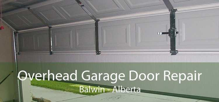 Overhead Garage Door Repair Balwin - Alberta