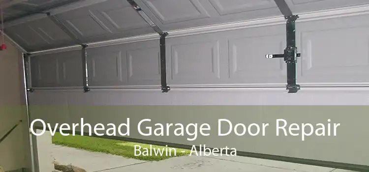 Overhead Garage Door Repair Balwin - Alberta