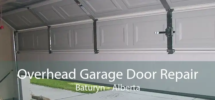 Overhead Garage Door Repair Baturyn - Alberta