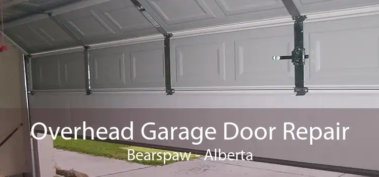 Overhead Garage Door Repair Bearspaw - Alberta