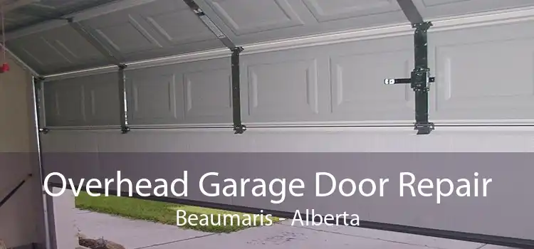 Overhead Garage Door Repair Beaumaris - Alberta