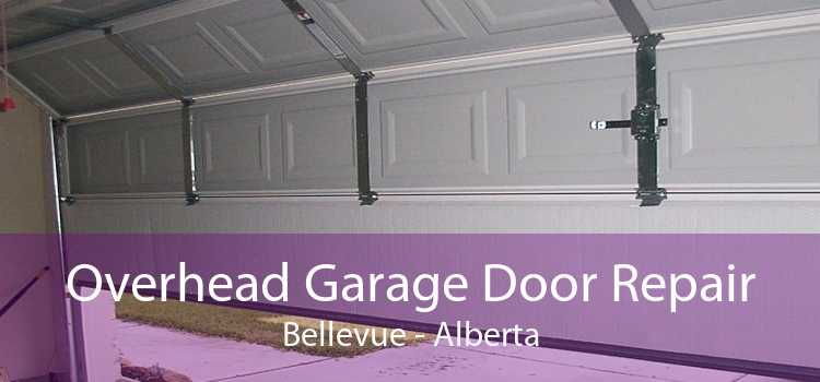 Overhead Garage Door Repair Bellevue - Alberta