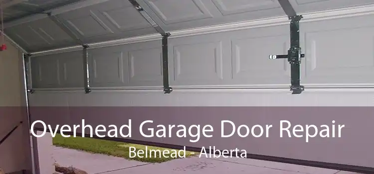 Overhead Garage Door Repair Belmead - Alberta
