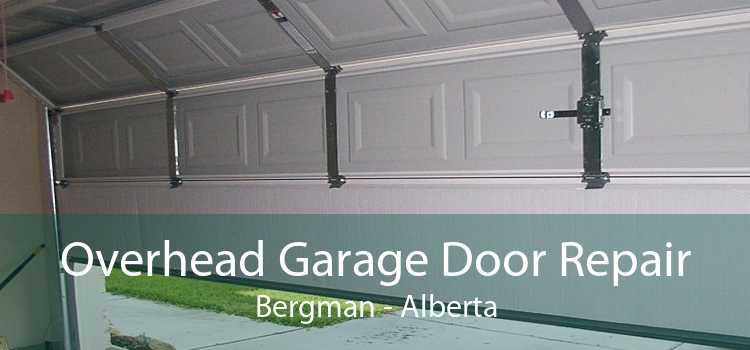 Overhead Garage Door Repair Bergman - Alberta