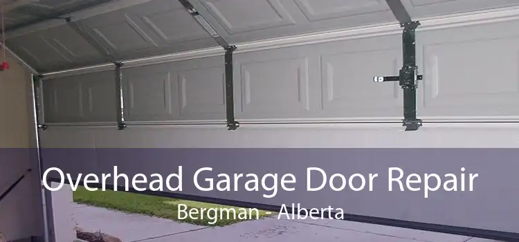 Overhead Garage Door Repair Bergman - Alberta