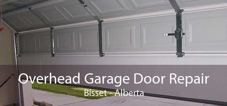 Overhead Garage Door Repair Bisset - Alberta