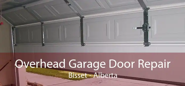 Overhead Garage Door Repair Bisset - Alberta