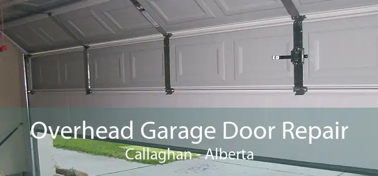 Overhead Garage Door Repair Callaghan - Alberta