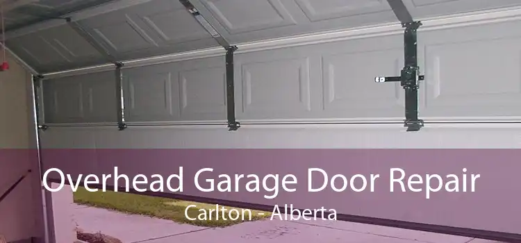Overhead Garage Door Repair Carlton - Alberta