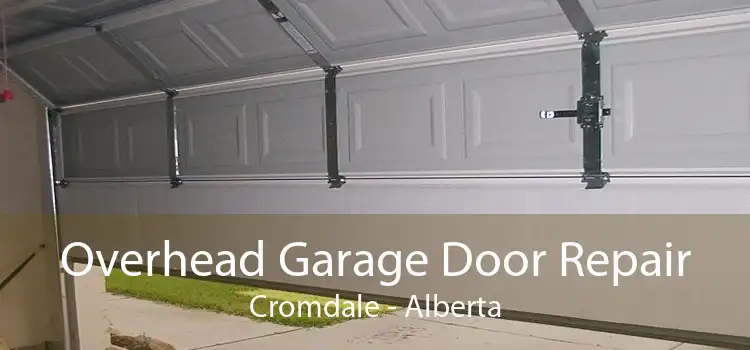 Overhead Garage Door Repair Cromdale - Alberta