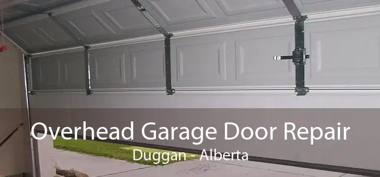 Overhead Garage Door Repair Duggan - Alberta