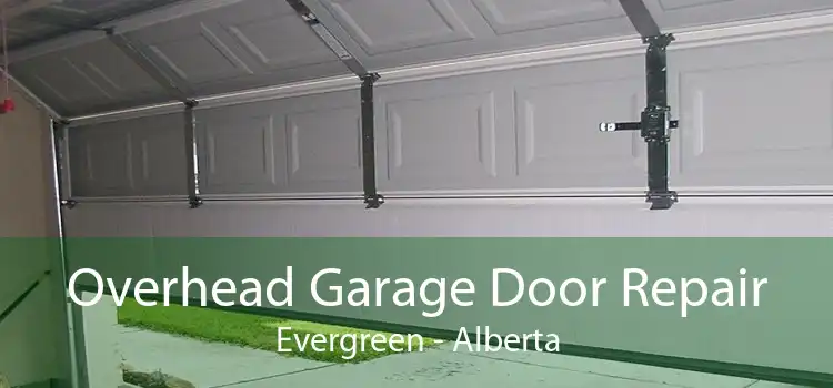 Overhead Garage Door Repair Evergreen - Alberta