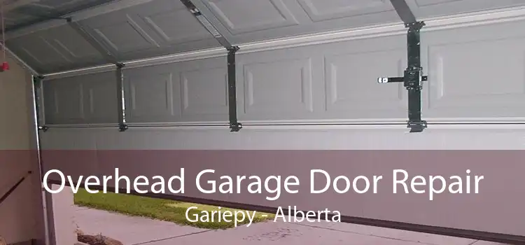 Overhead Garage Door Repair Gariepy - Alberta