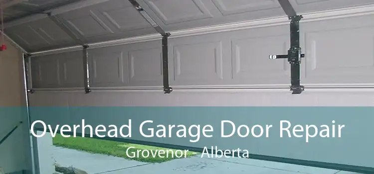 Overhead Garage Door Repair Grovenor - Alberta