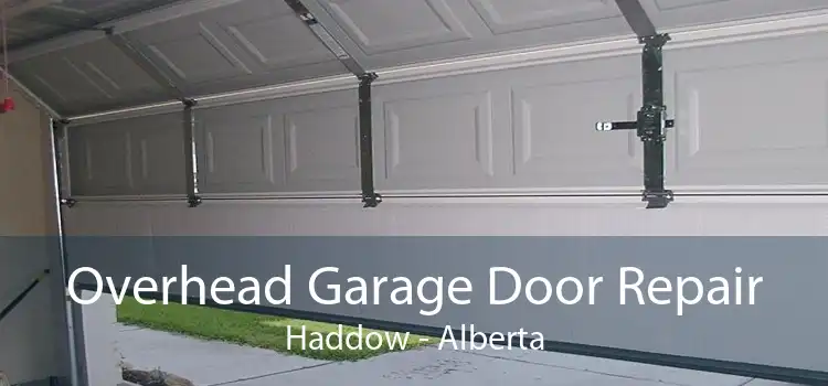 Overhead Garage Door Repair Haddow - Alberta