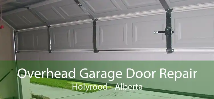 Overhead Garage Door Repair Holyrood - Alberta