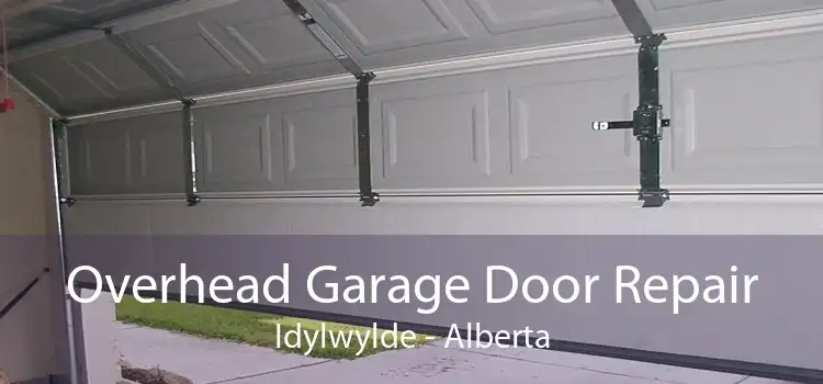 Overhead Garage Door Repair Idylwylde - Alberta