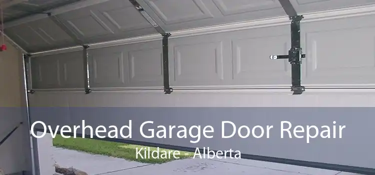 Overhead Garage Door Repair Kildare - Alberta