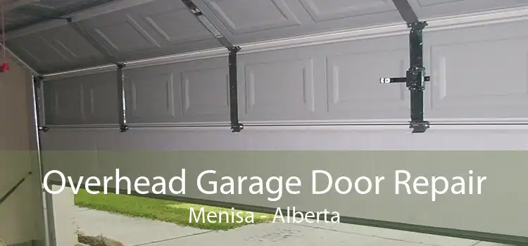 Overhead Garage Door Repair Menisa - Alberta
