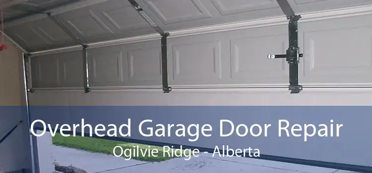 Overhead Garage Door Repair Ogilvie Ridge - Alberta