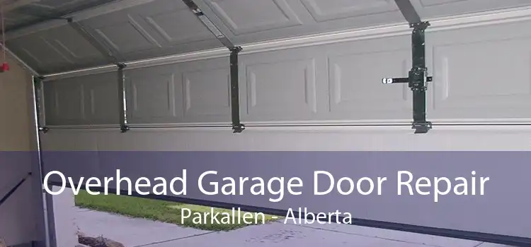 Overhead Garage Door Repair Parkallen - Alberta