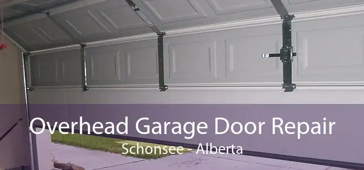 Overhead Garage Door Repair Schonsee - Alberta