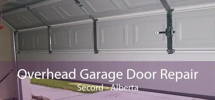 Overhead Garage Door Repair Secord - Alberta