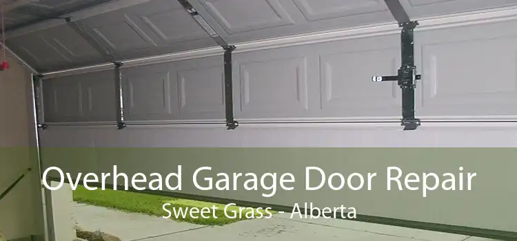 Overhead Garage Door Repair Sweet Grass - Alberta