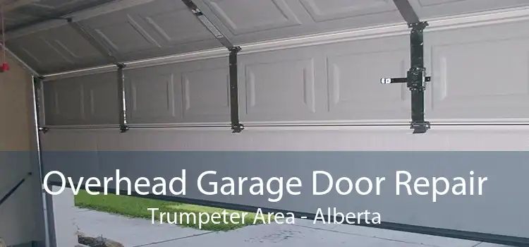 Overhead Garage Door Repair Trumpeter Area - Alberta