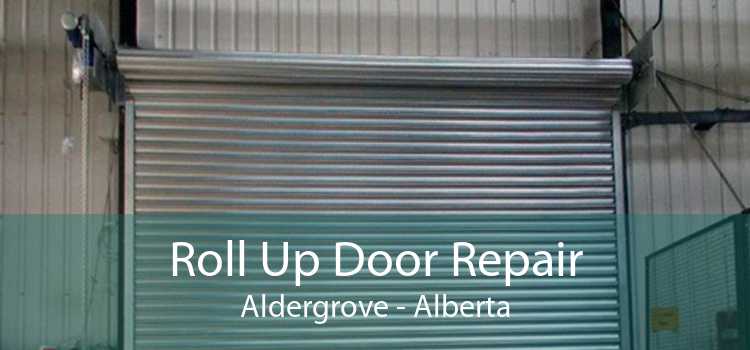 Roll Up Door Repair Aldergrove - Alberta