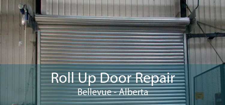 Roll Up Door Repair Bellevue - Alberta