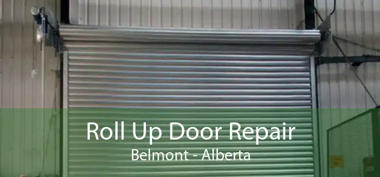 Roll Up Door Repair Belmont - Alberta