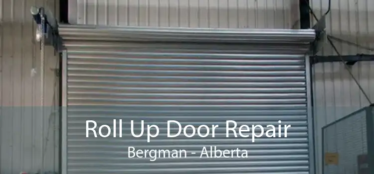 Roll Up Door Repair Bergman - Alberta
