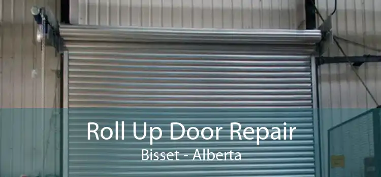 Roll Up Door Repair Bisset - Alberta