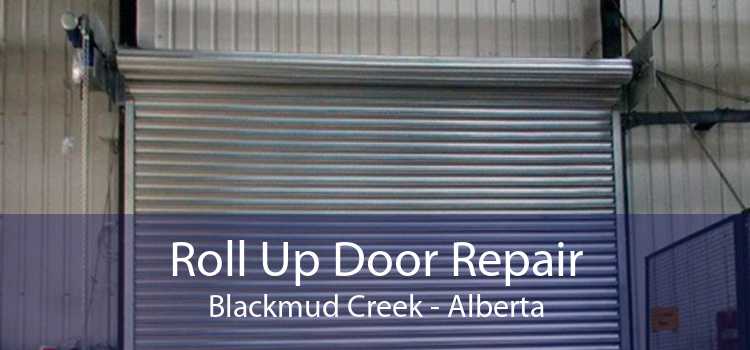 Roll Up Door Repair Blackmud Creek - Alberta