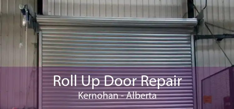 Roll Up Door Repair Kernohan - Alberta