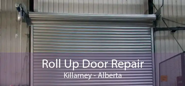 Roll Up Door Repair Killarney - Alberta