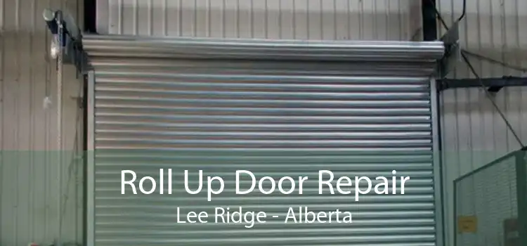 Roll Up Door Repair Lee Ridge - Alberta